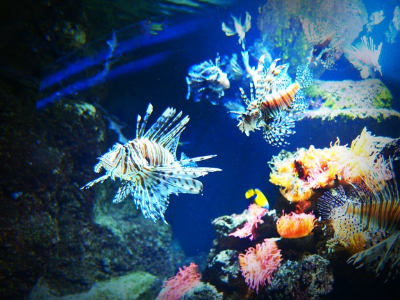 Zoo-Aquarium 202304-12